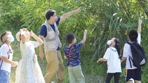 社子島濕地解說小築|春季週末親子活動