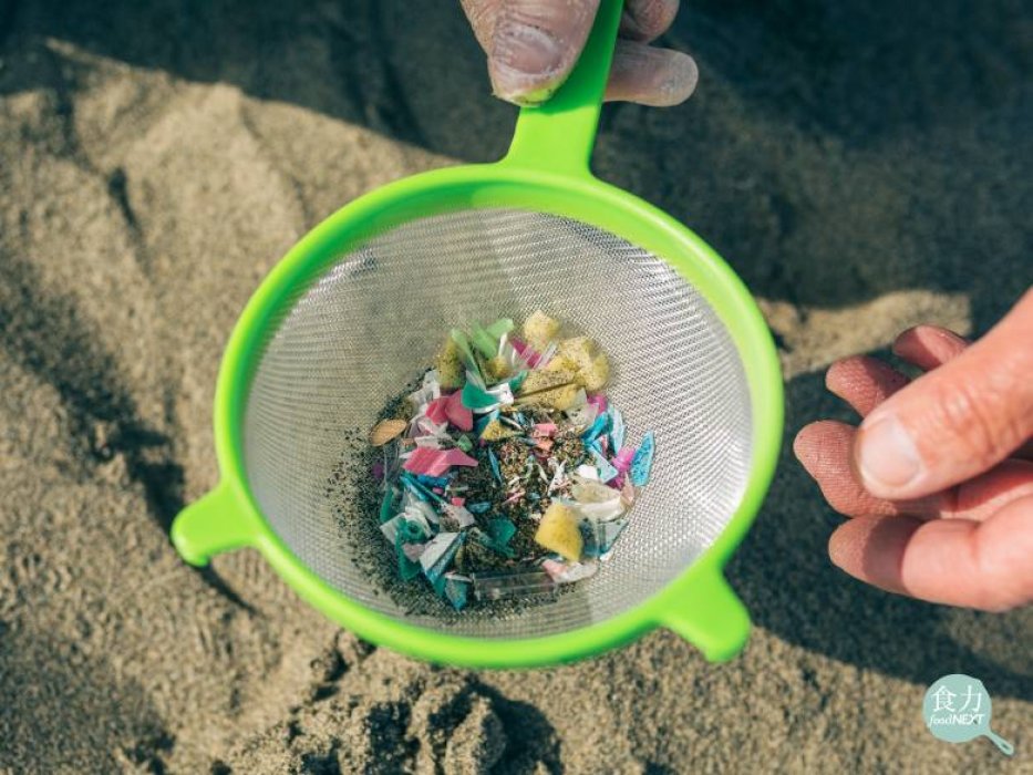每年有800萬噸塑膠垃圾進入大海 塑膠微粒可能影響內分泌、生殖系統