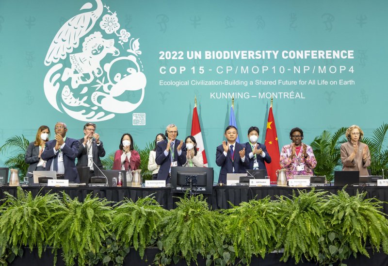 生物多樣性大會達成歷史性協議
近200國同意2030年前保護30%的陸地與海洋